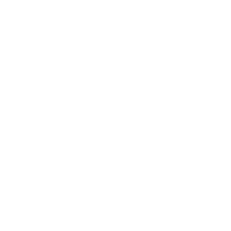 公司使命